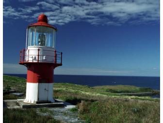 Gorgeous Set of 9 Photographs Matted and Ready for Framing
