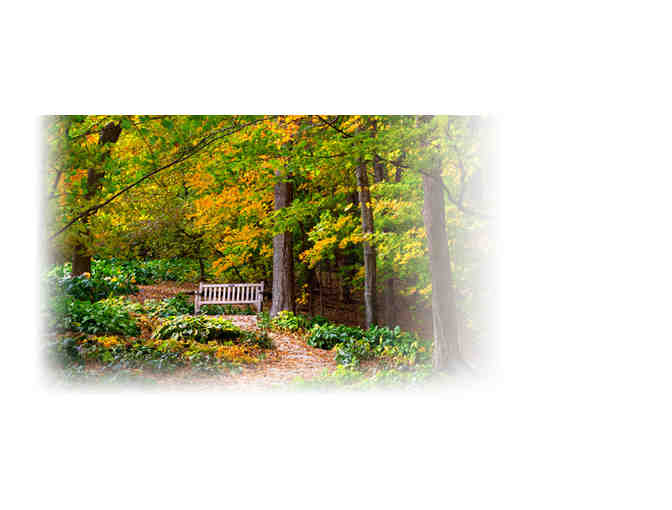 Minnesota Landscape ARBORETUM - FOUR V.I.P. PASSES