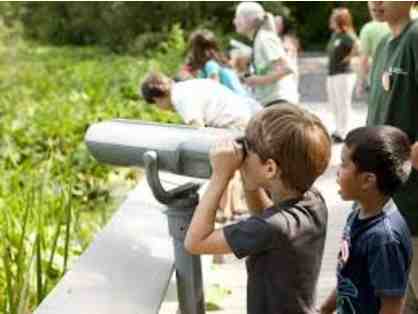 An Afternoon at the NY Botanical Garden with the CRS STEM Team