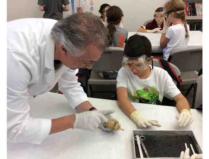 Academic Summer Camp @ SmartMinds