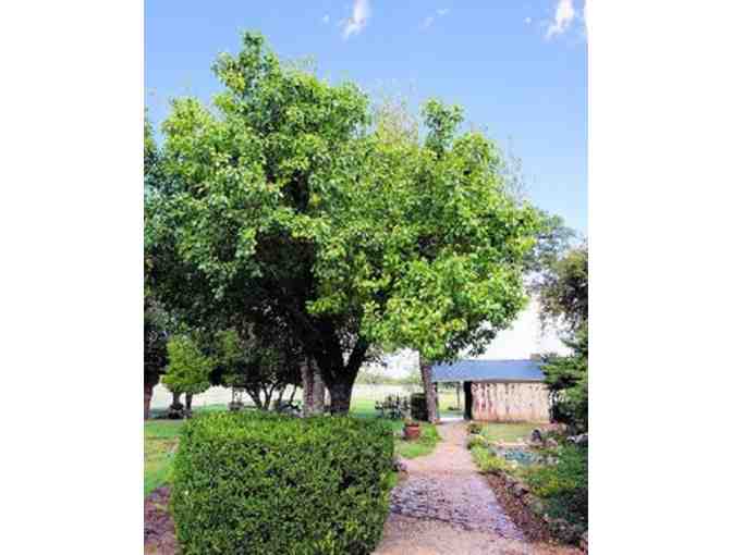 One Night Stay at Historic 3C Ranch