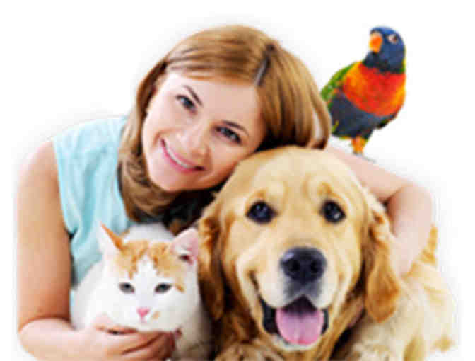 Give your pooch some TLC!