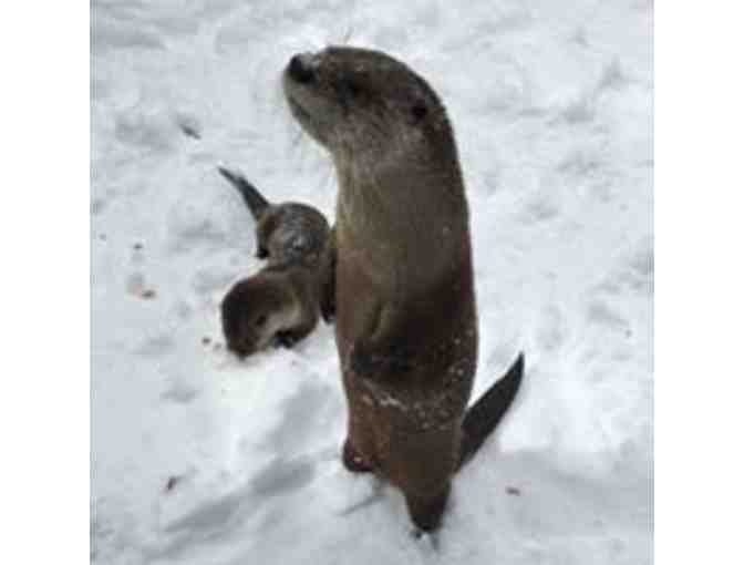Chinese Banquet at Flo's Restaurants