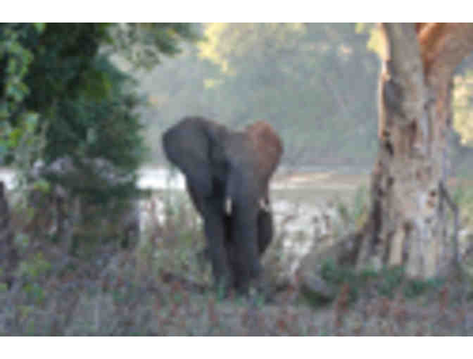 Family Safari in South Africa