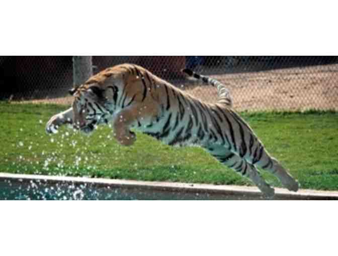 Out of Africa Wildlife Park with the Family