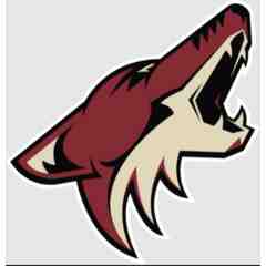 Arizona Coyotes