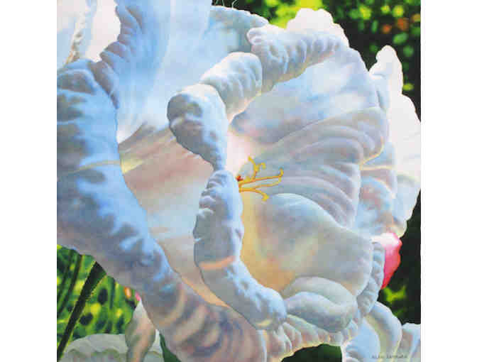 Alan Sanborn's Note Card Set of 12 Greeting Cards #1