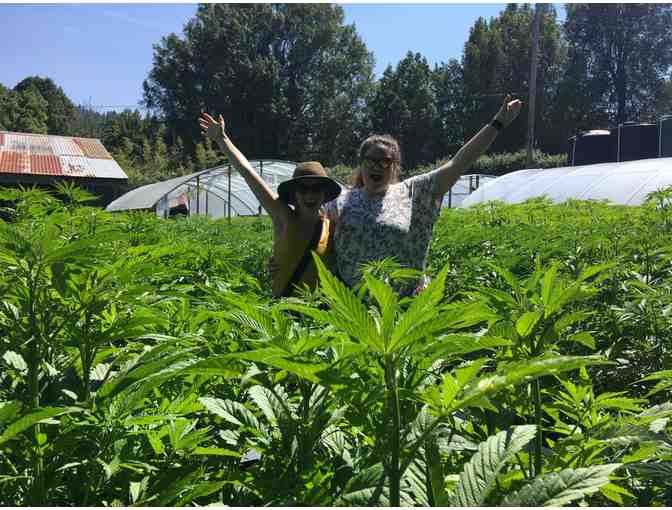 Half Day Humboldt Cannabis Tour for 2 People