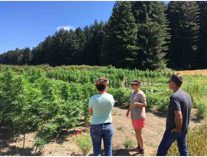 Half Day Humboldt Cannabis Tour for 2 People