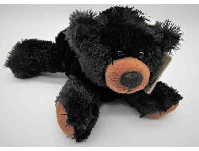 Sequoia Park Zoo Goody Bag and Four Admission Passes