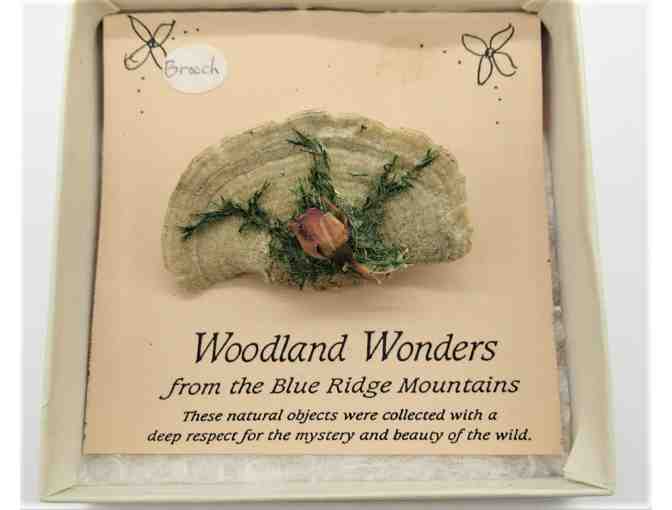Blue Ridge Mountains Woodland Wonders Bracket Fungi Brooch