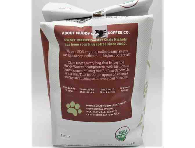 Muddy Waters Coffee - Big Foot Dark Roast Whole Bean 5 Pound Bag