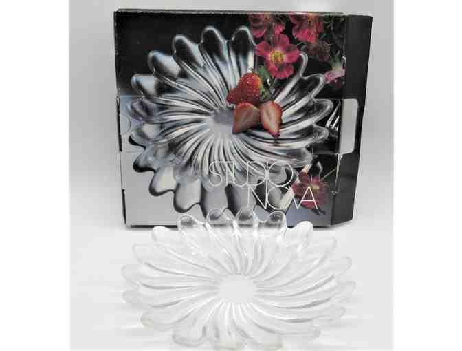 Studio Nova Serving Plates Set of 2