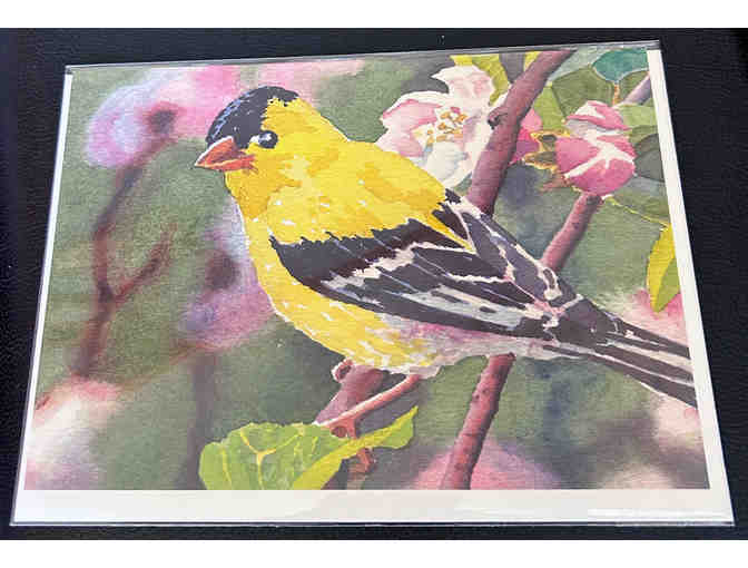 Alan Sanborn's Bird-Themed Note Cards