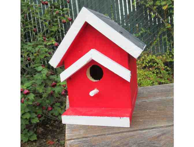 Red Bird House with Black Roof and White Trim - Photo 1