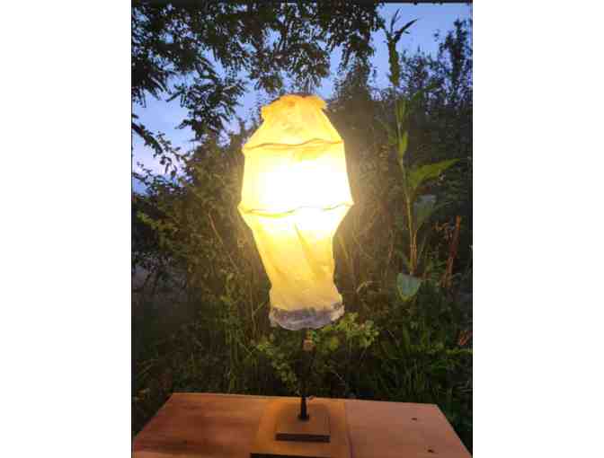 'Spiral Dancer' Table Lamp by Betsy Roberts - Photo 2