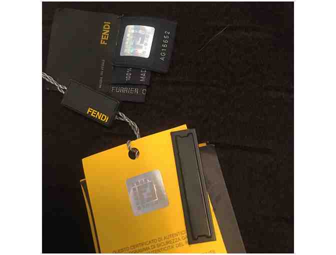 Fendi Cashmere and Mink Scarf