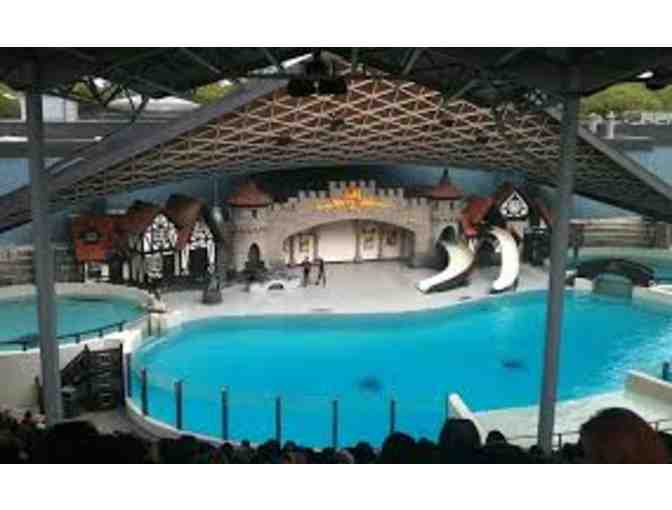 Explore Toronto Roadtrip