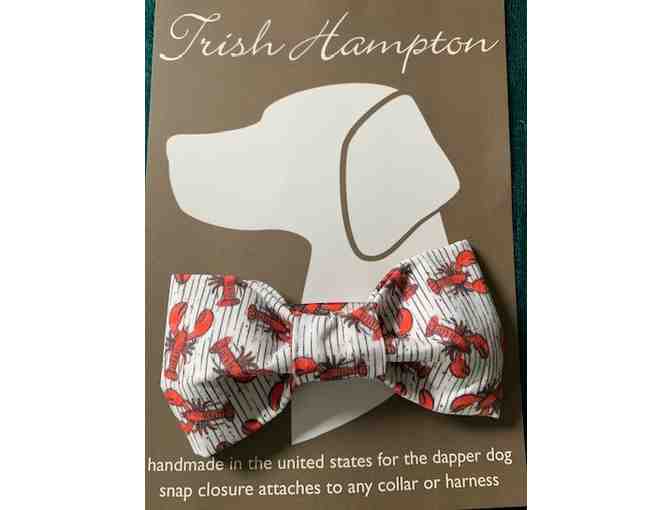 Charcoal Pet Portrait and More