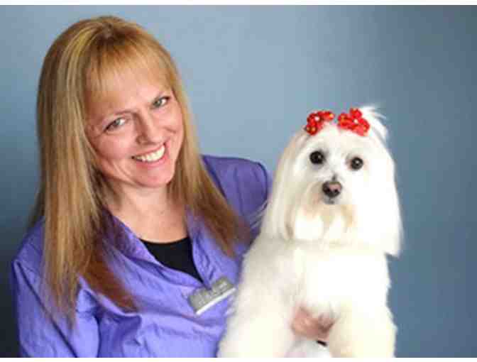 Beauty for Yourself & Pet and some Sparkle too!