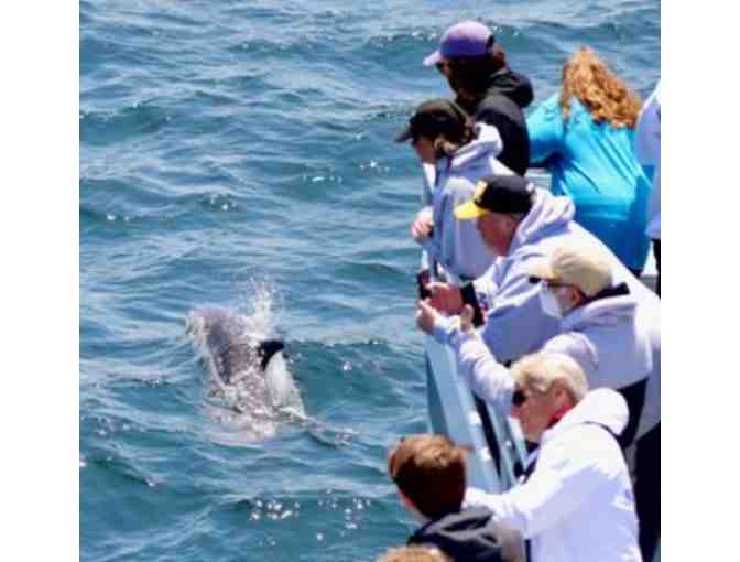 Hyannis Whale Watcher Cruises