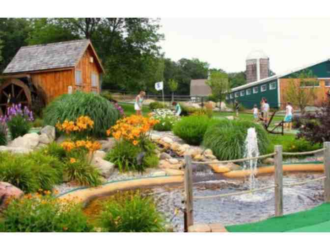 Fun for the Whole Family