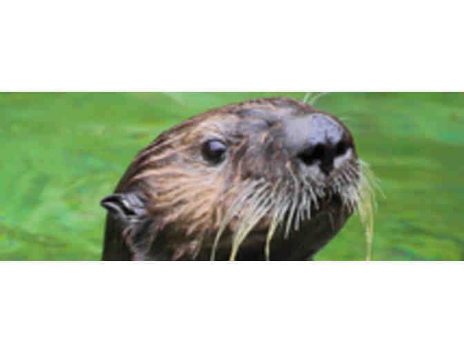 Family 4 Pack tickets Oregon Coast Aquarium