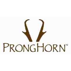 Pronghorn