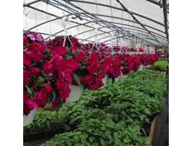 $50 Gift Certificate to Jaeschke's Fruits & Flowers