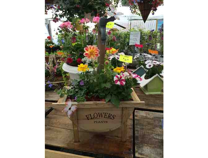 $50 Gift Certificate to Jaeschke's Fruits & Flowers