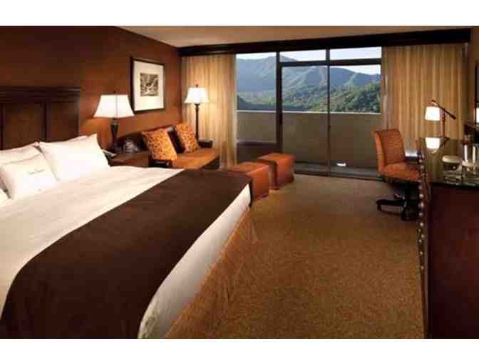 The Park Vista a Double Tree by Hilton | One-Night Stay