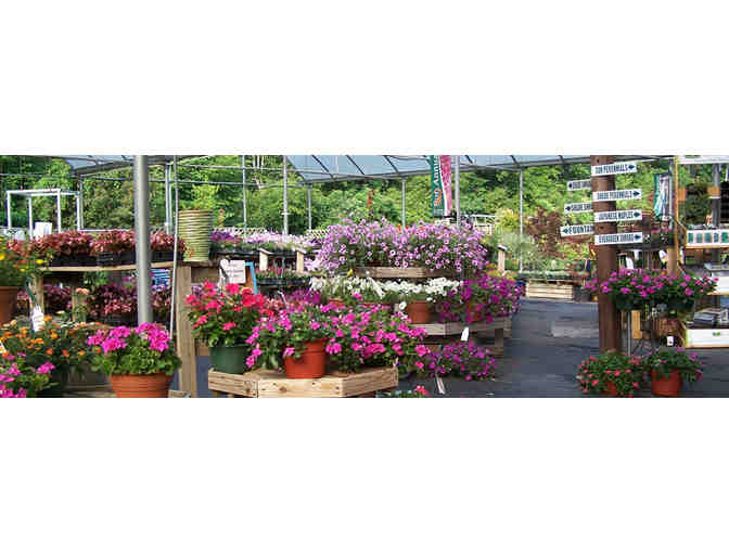 Meadow View Greenhouse | Gift Certificate