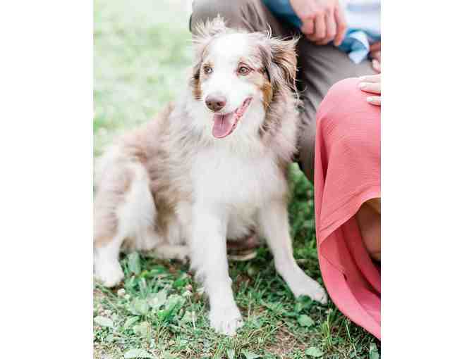 Juicebeats Photography | Portrait Session