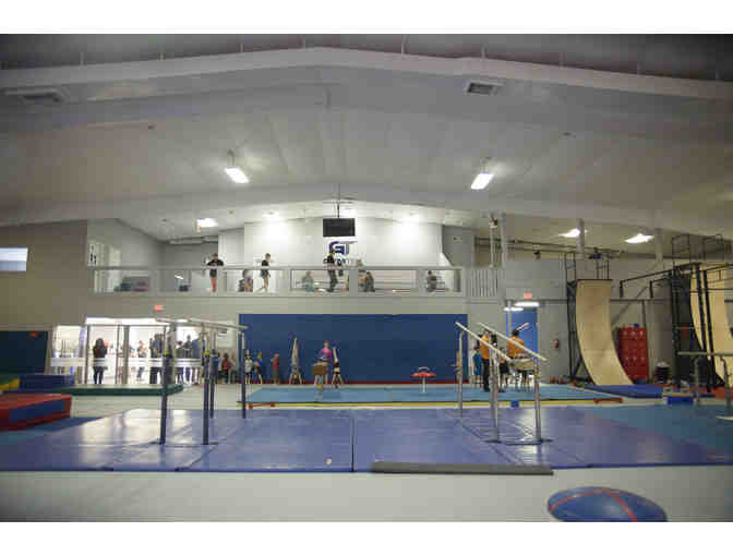 GymTek | Gold Medal Birthday Party