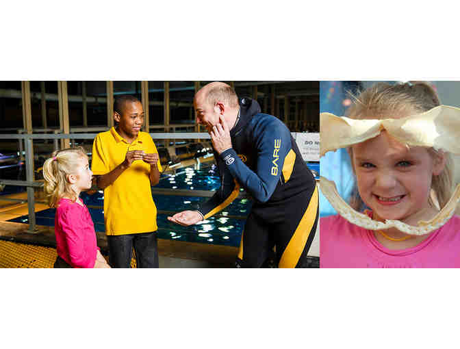 Tennessee Aquarium | Four Passes & Four Behind the Scenes Tour passes (1 of 2)