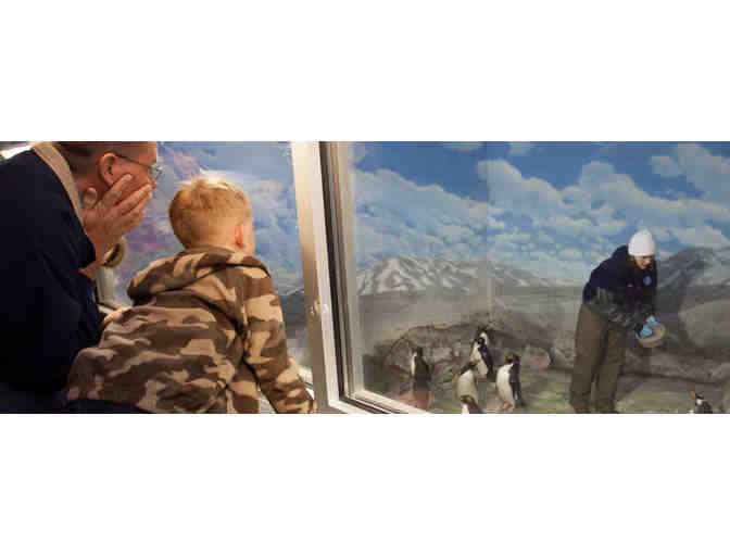 Tennessee Aquarium | Four Passes & Four Behind the Scenes Tour Passes (2 of 2)