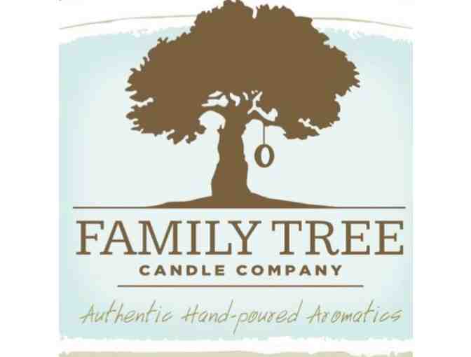 Family Tree Candle Co. | Wall Warmers with Melts