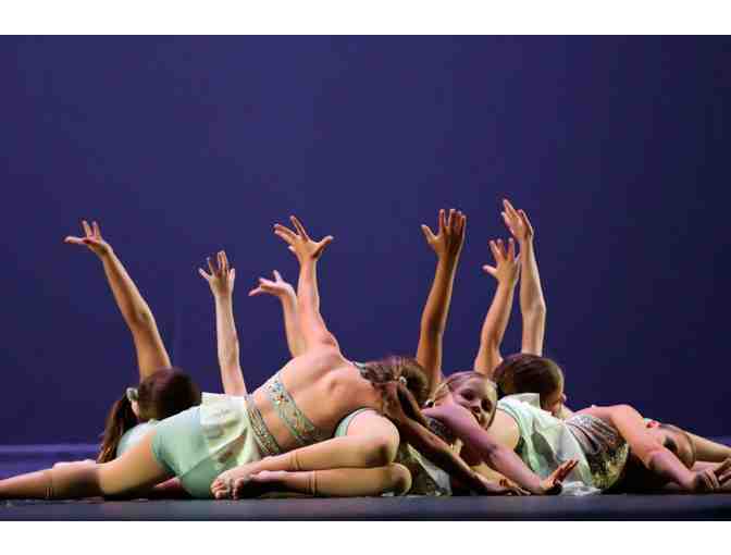 Knox Dance Worx | Year of Dance