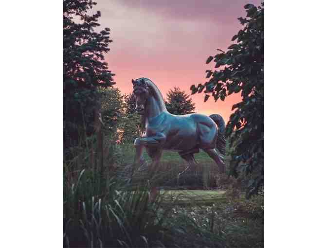 Admission for a Family of Four to Frederik Meijer Gardens & Sculpture Park