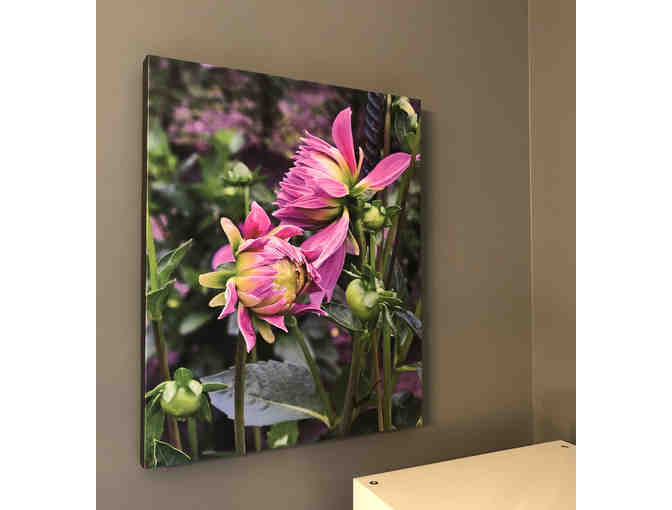 Pink Flower Canvas by Bob Spears