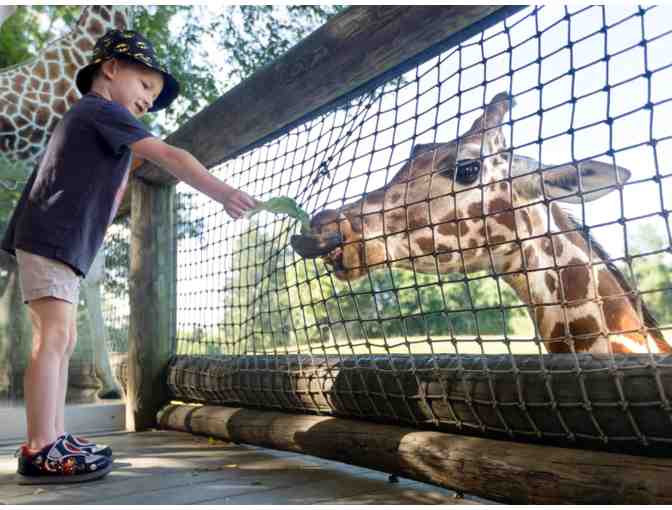 Family Day at Binder Park Zoo