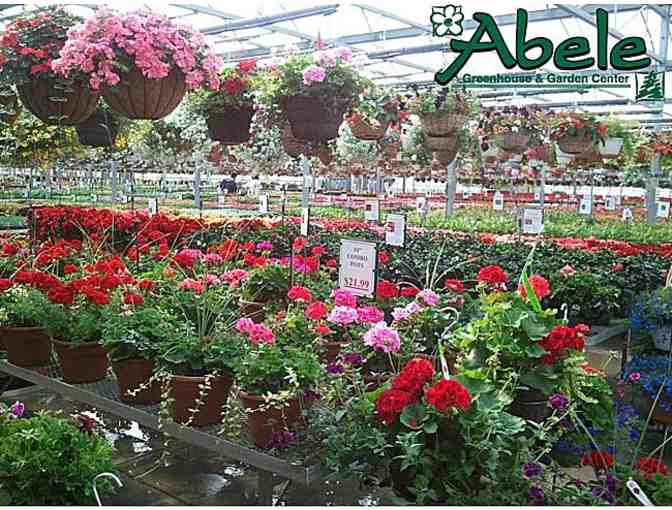 Abele Green House $100 Gift Card