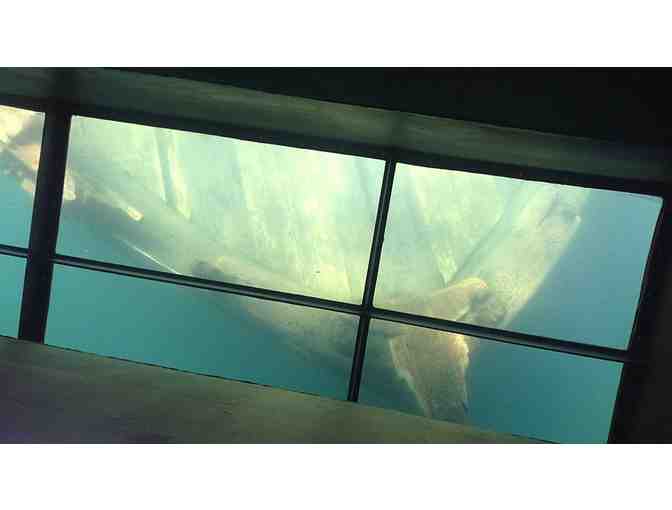 2 Adult Tickets for Pictured Rocks Glass Bottom Shipwreck Tours