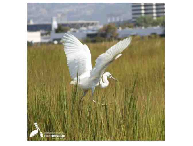 Birdspotting with JD