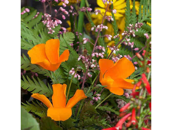 An Afternoon in the Gottlieb Garden