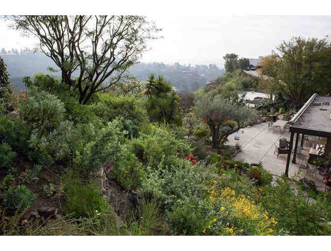 An Afternoon in the Gottlieb Garden