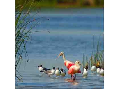 Galveston Bay Getaway
