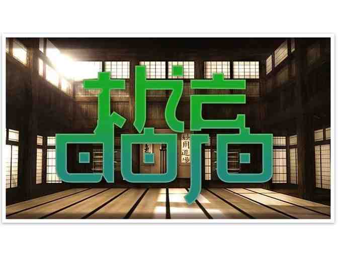 Ultimate Ninja Experience