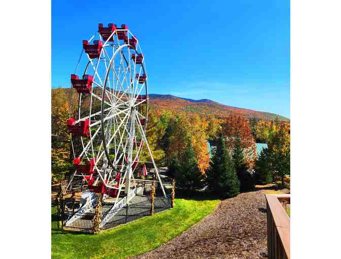 Take the Scenic Route - Daytrip to the White Mountains
