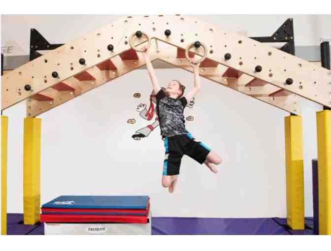 Adventure Time - Ropes Course, Rock Climbing, Ninja Challenge and Batting Cages